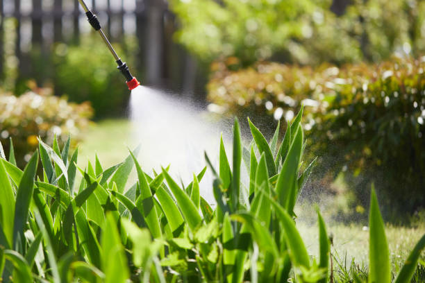 Tamper-Resistant Bait Stations for Rodents in Jamestown
