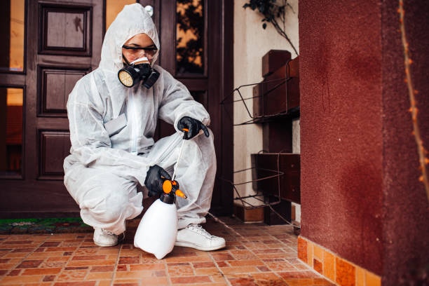 Attic and Crawl Space Rodent Treatment in Jamestown